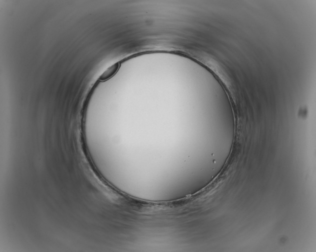 X0000090921187200708201759