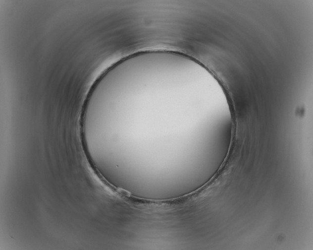 X0000090921189200708201759