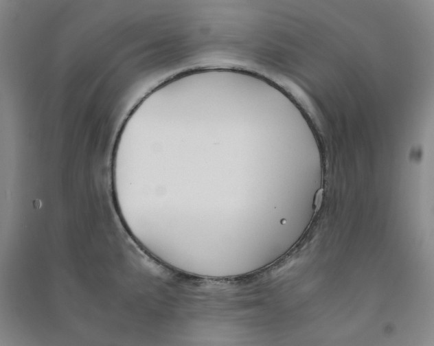 X0000090921191200708201759