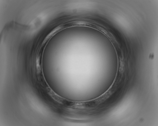 X0000090921198200708201759