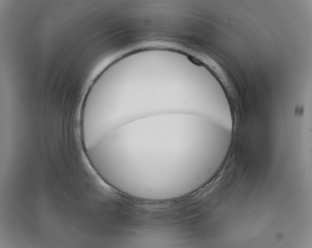 X0000090921199200708201759