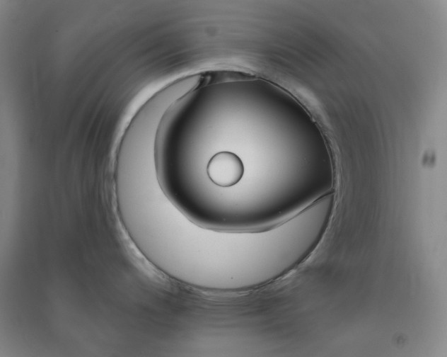 X0000090921200200708201759