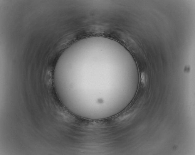 X0000090921203200708201758