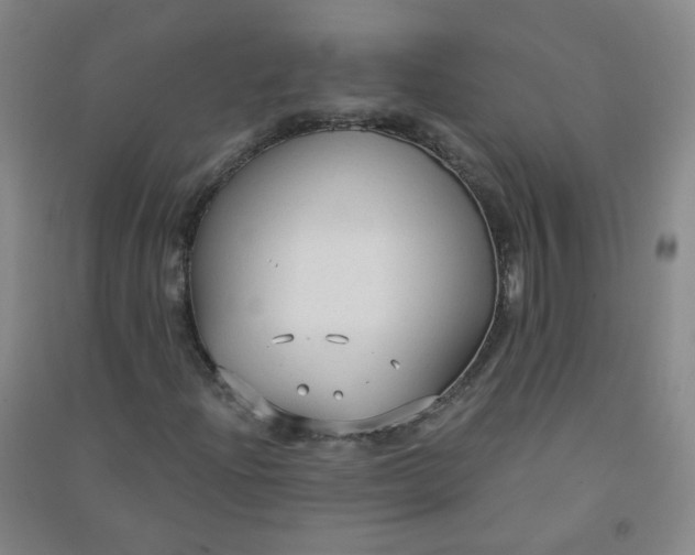 X0000090921204200708201758