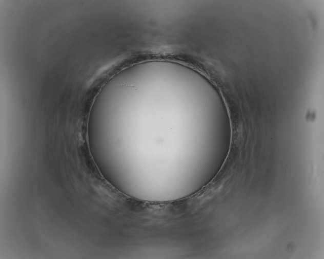 X0000090921205200708201758