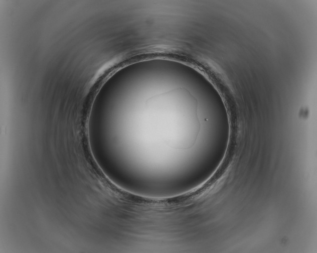 X0000090921210200708201758