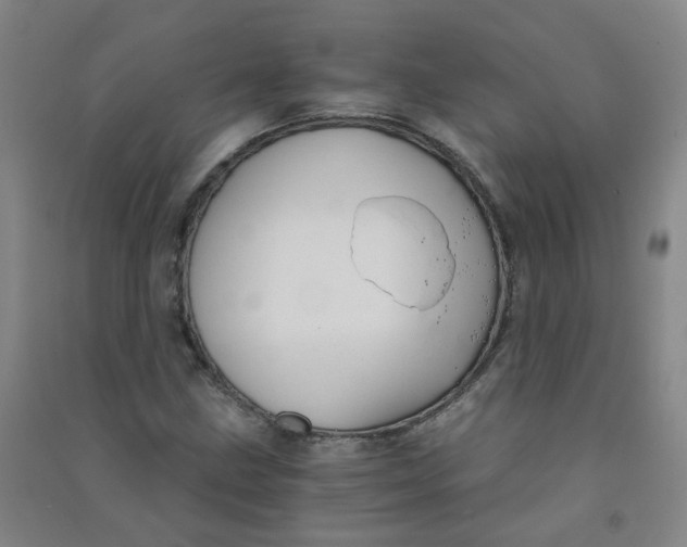 X0000090921211200708201758