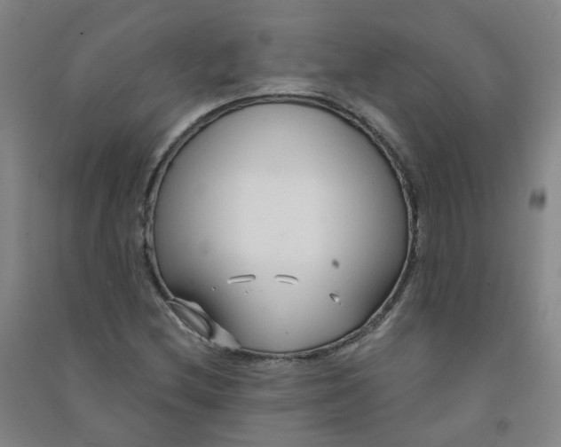 X0000090921212200708201758