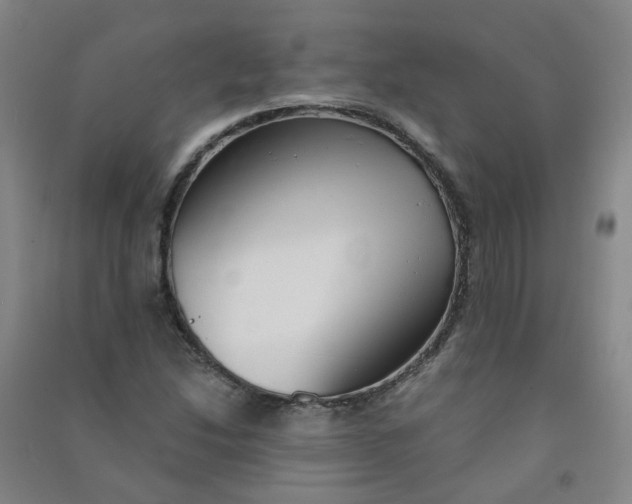 X0000090921214200708201758