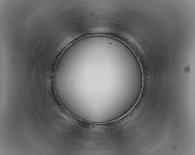 X0000090921217200708201758