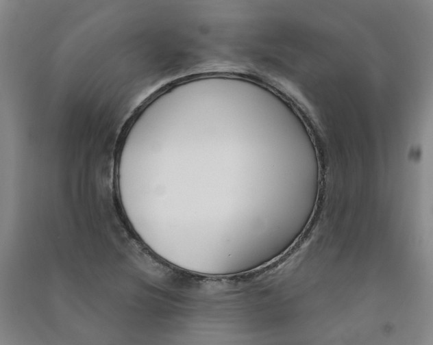 X0000090921220200708201758