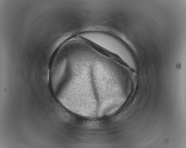 X0000090921221200708201758