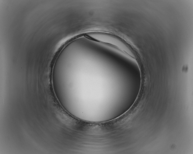 X0000090921222200708201758