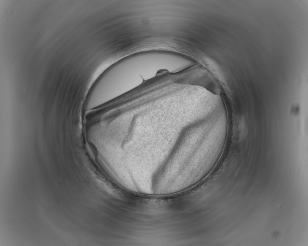 X0000090921226200708201758