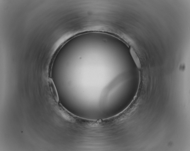 X0000090921230200708201758