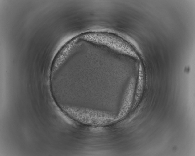 X0000090921231200708201758