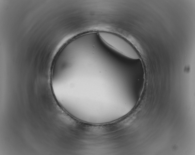 X0000090921232200708201758