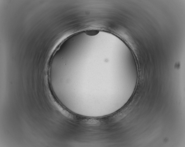 X0000090921235200708201759