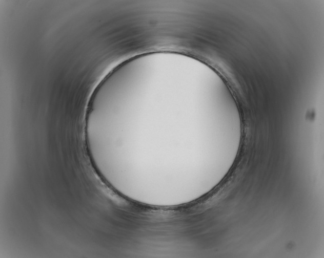 X0000090921236200708201759