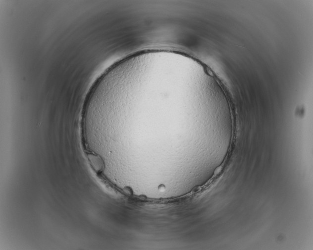 X0000090921237200708201759