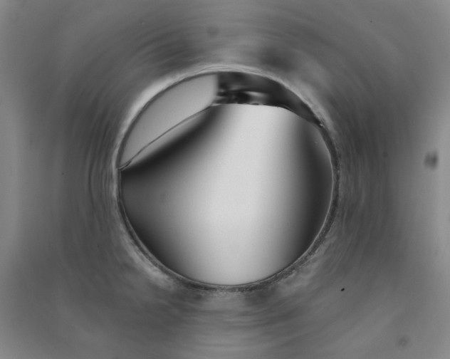 X0000090921238200708201759