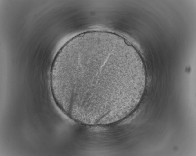 X0000090921239200708201759