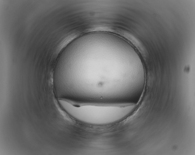 X0000090921241200708201759