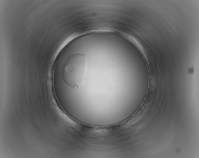 X0000090921243200708201759