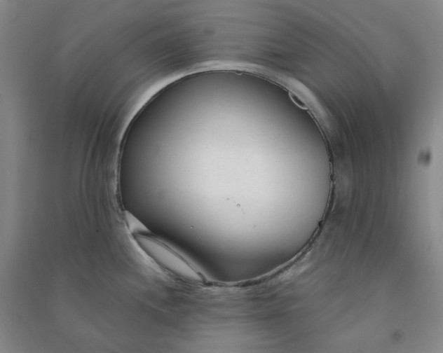 X0000090921244200708201759