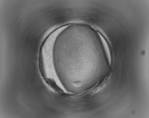 X0000090921245200708201759