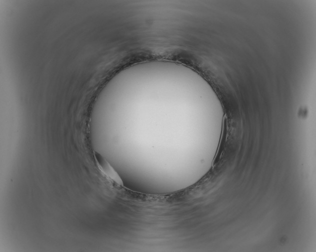 X0000090921249200708201758