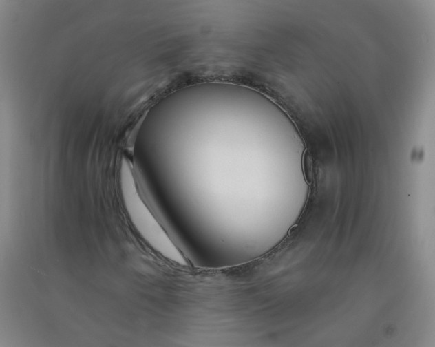 X0000090921250200708201758