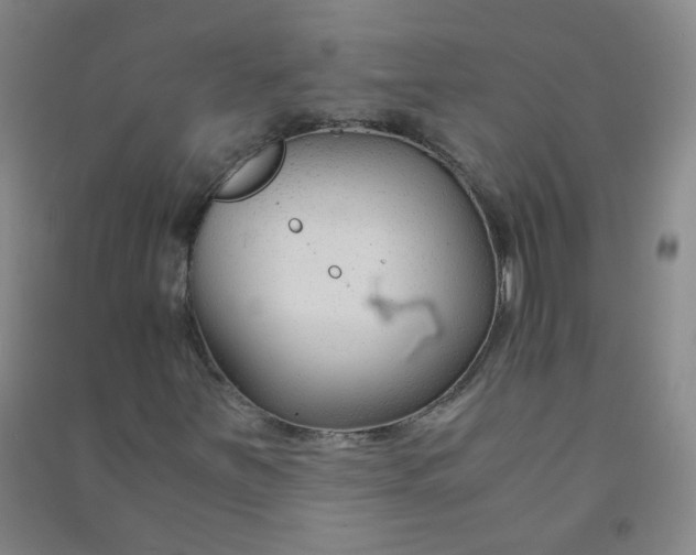 X0000090921251200708201758