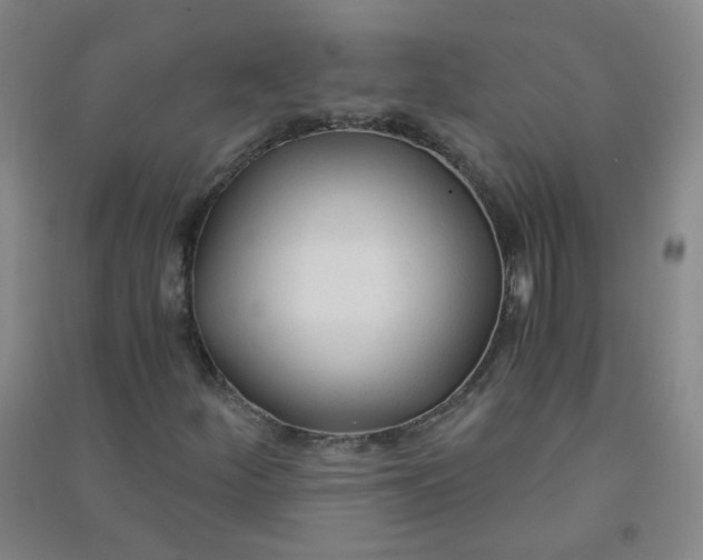 X0000090921252200708201758