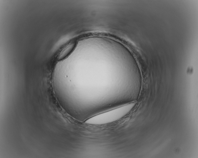 X0000090921255200708201758