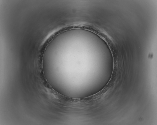 X0000090921256200708201758