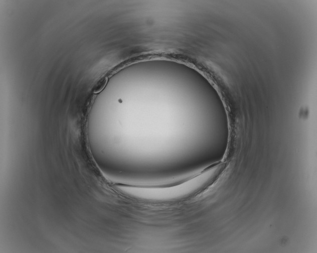 X0000090921257200708201758