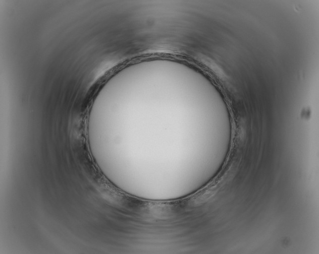 X0000090921258200708201758