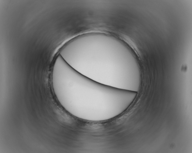 X0000090921260200708201758