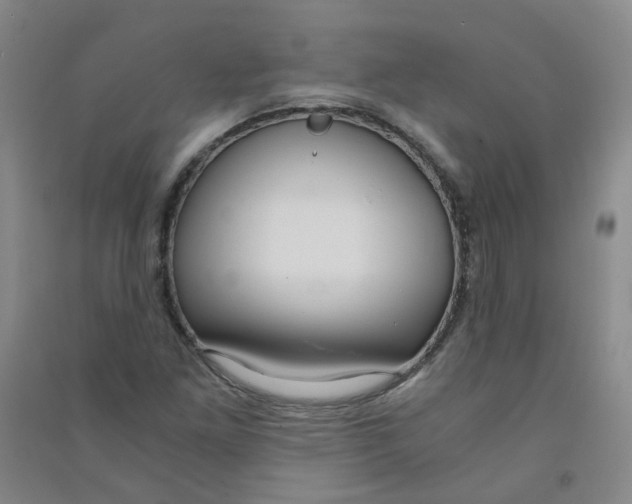 X0000090921261200708201758