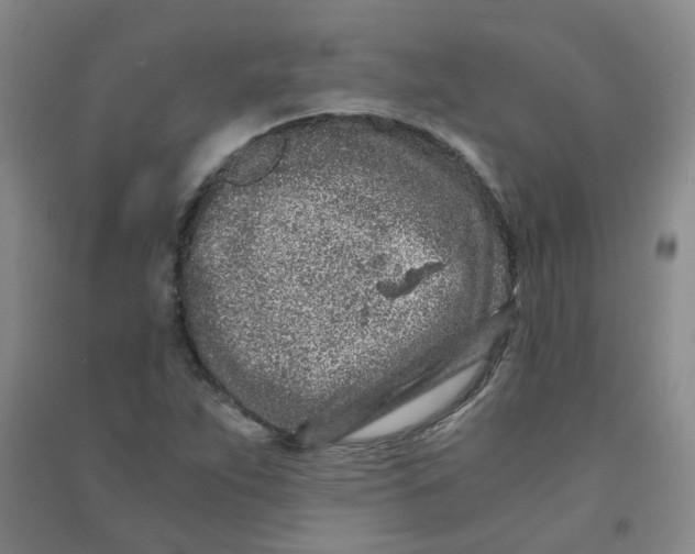 X0000090921263200708201758