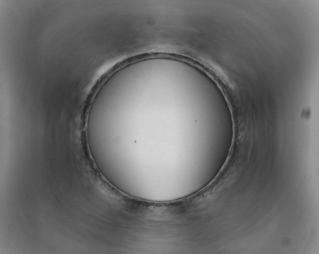 X0000090921264200708201758