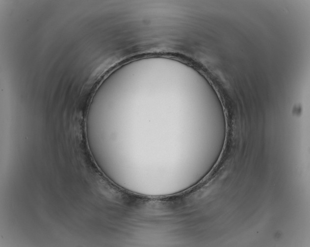 X0000090921265200708201758