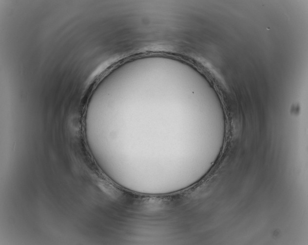 X0000090921266200708201758