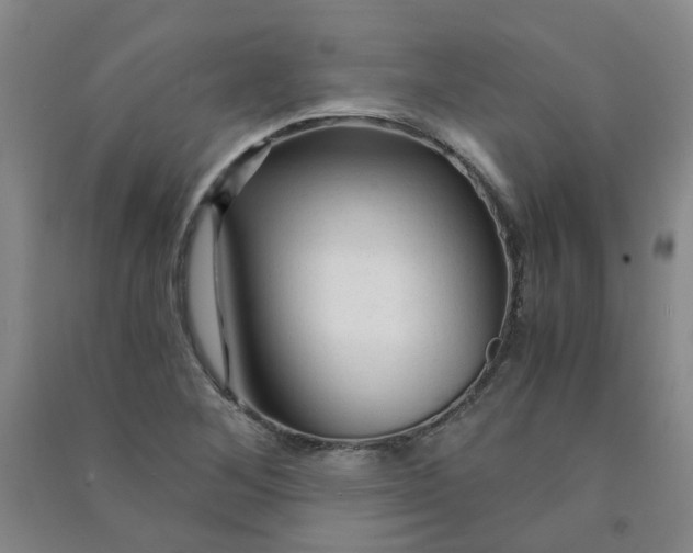 X0000090921268200708201758