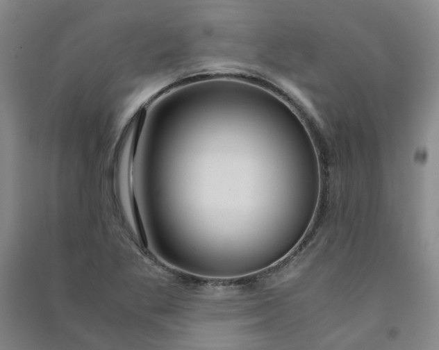 X0000090921269200708201758