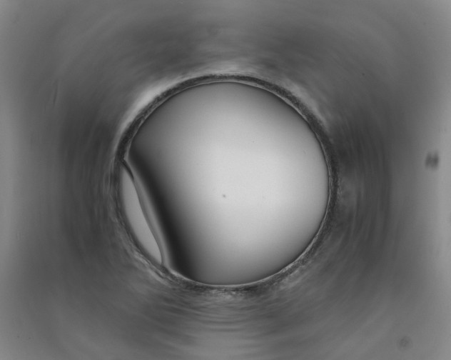 X0000090921270200708201758