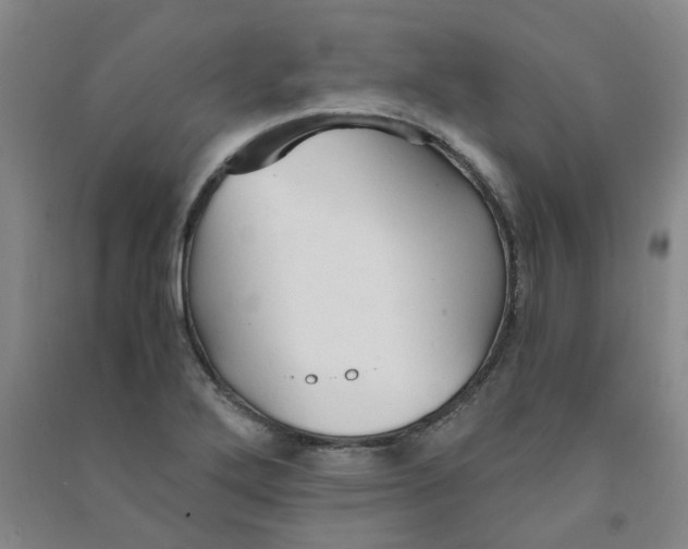 X0000090921272200708201758