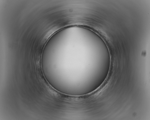 X0000090921273200708201758