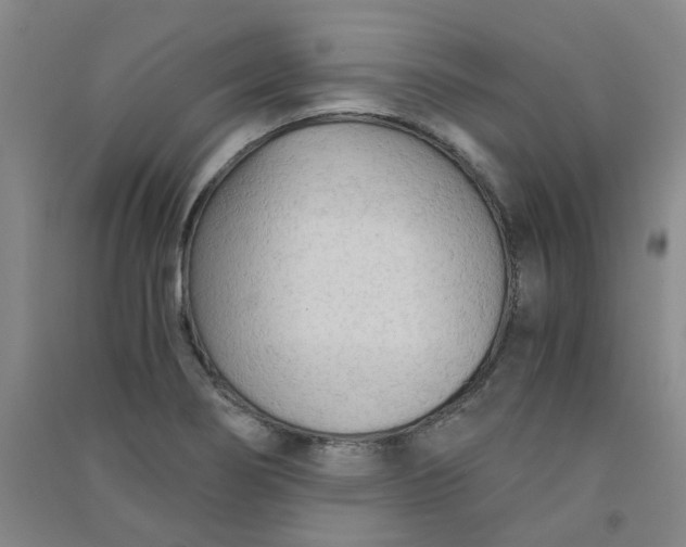 X0000090921274200708201758